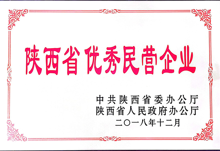 陕西省优秀民营企业
