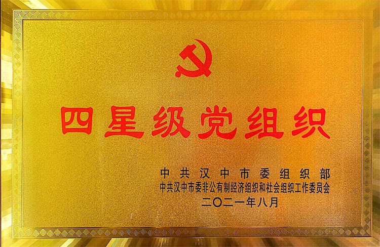 四星级党组织